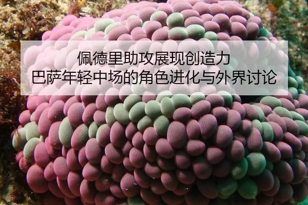 pei-de-li-zhu-gong-zhan-xian-chuang-zao-li-ba-sa-nian-qing-zhong-chang-de-jue-se-jin-hua-yu-wai-jie-tao-lun-2-689.jpg